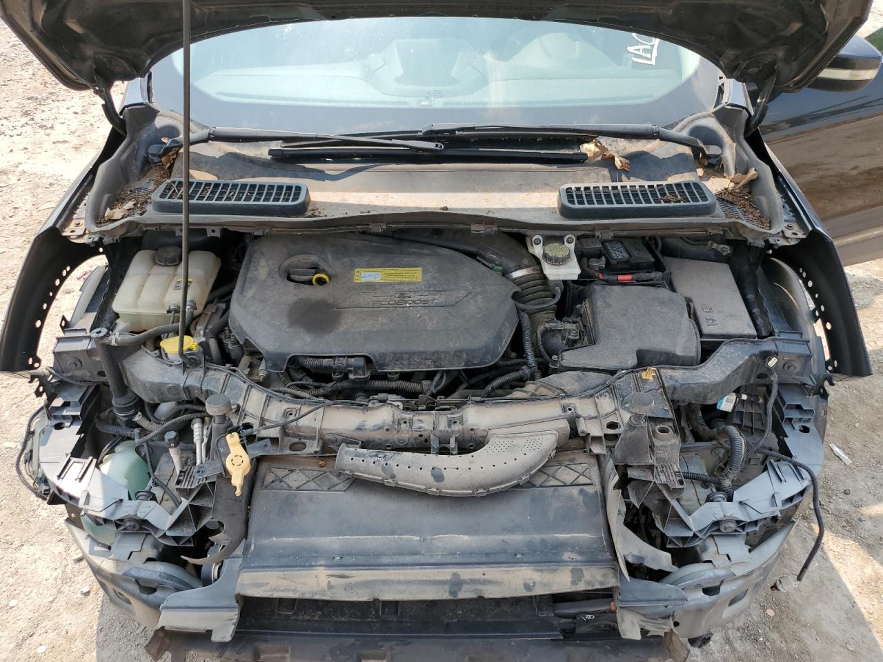 2013 Ford Escape Sel VIN: 1FMCU0HX7DUA11252 Lot: 63535614