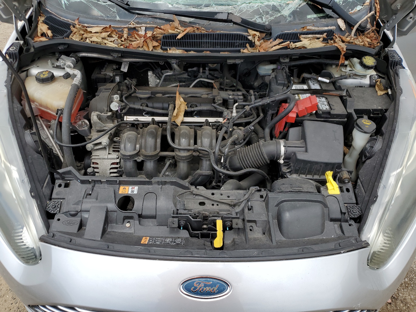 3FADP4BJ6EM165491 2014 Ford Fiesta Se