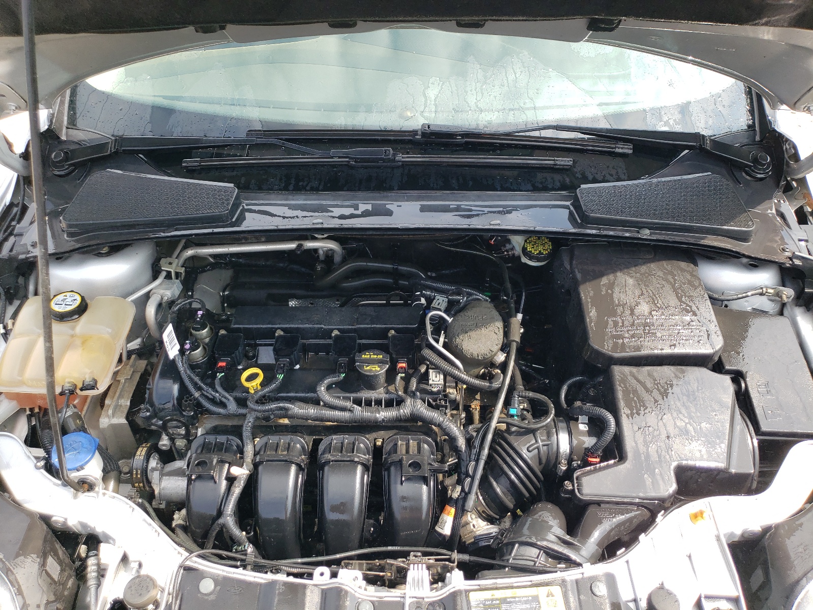 1FADP3N26DL177753 2013 Ford Focus Titanium