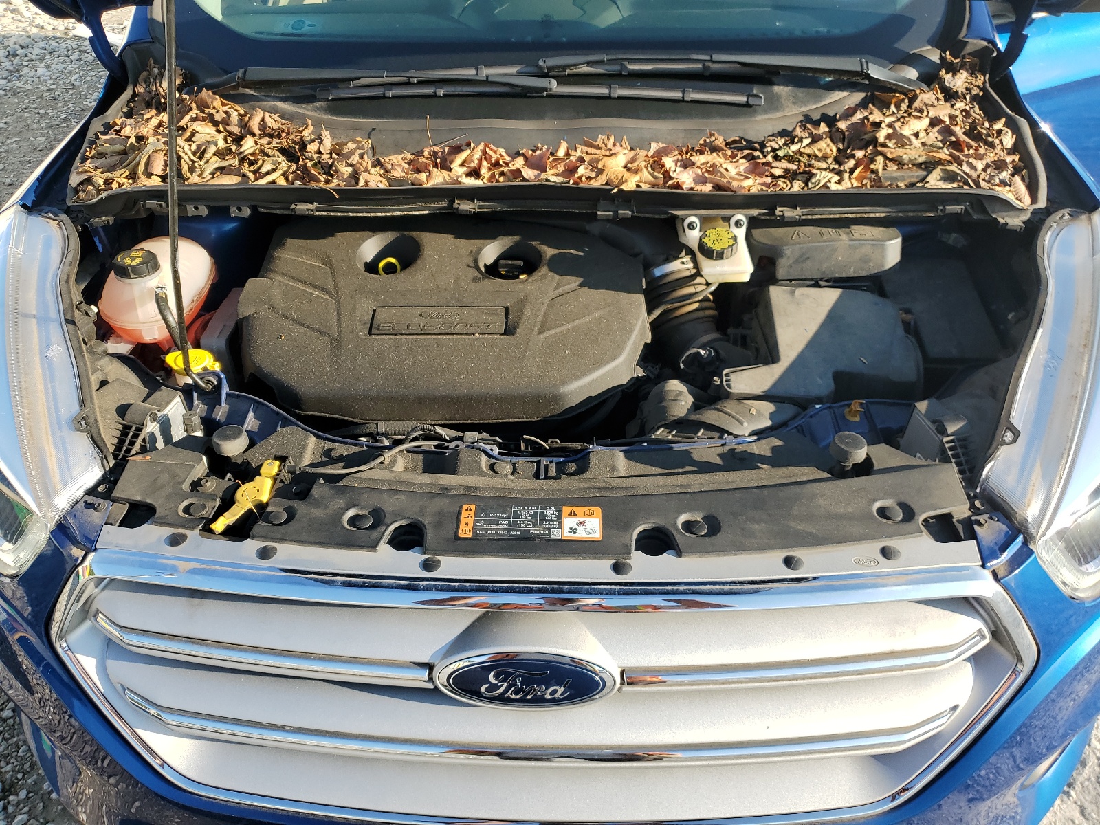 1FMCU9J90KUA14975 2019 Ford Escape Titanium