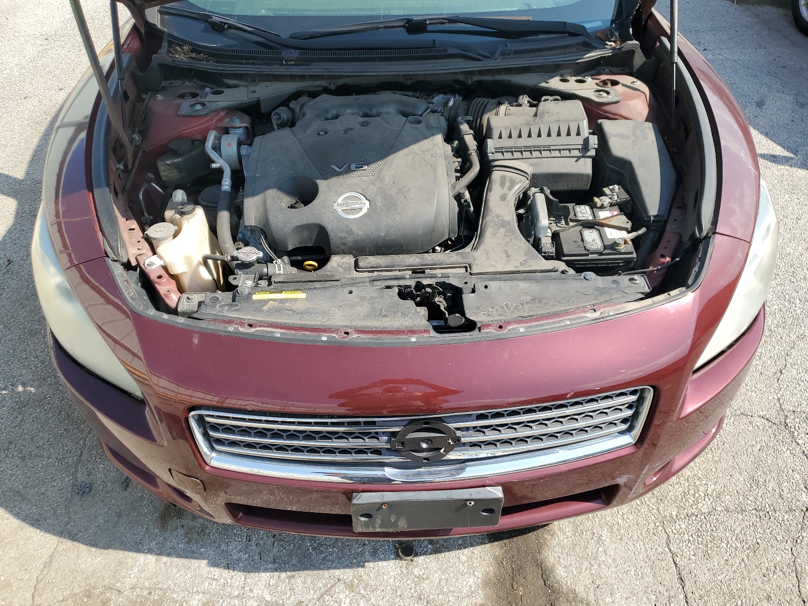 1N4AA51E29C830179 2009 Nissan Maxima S