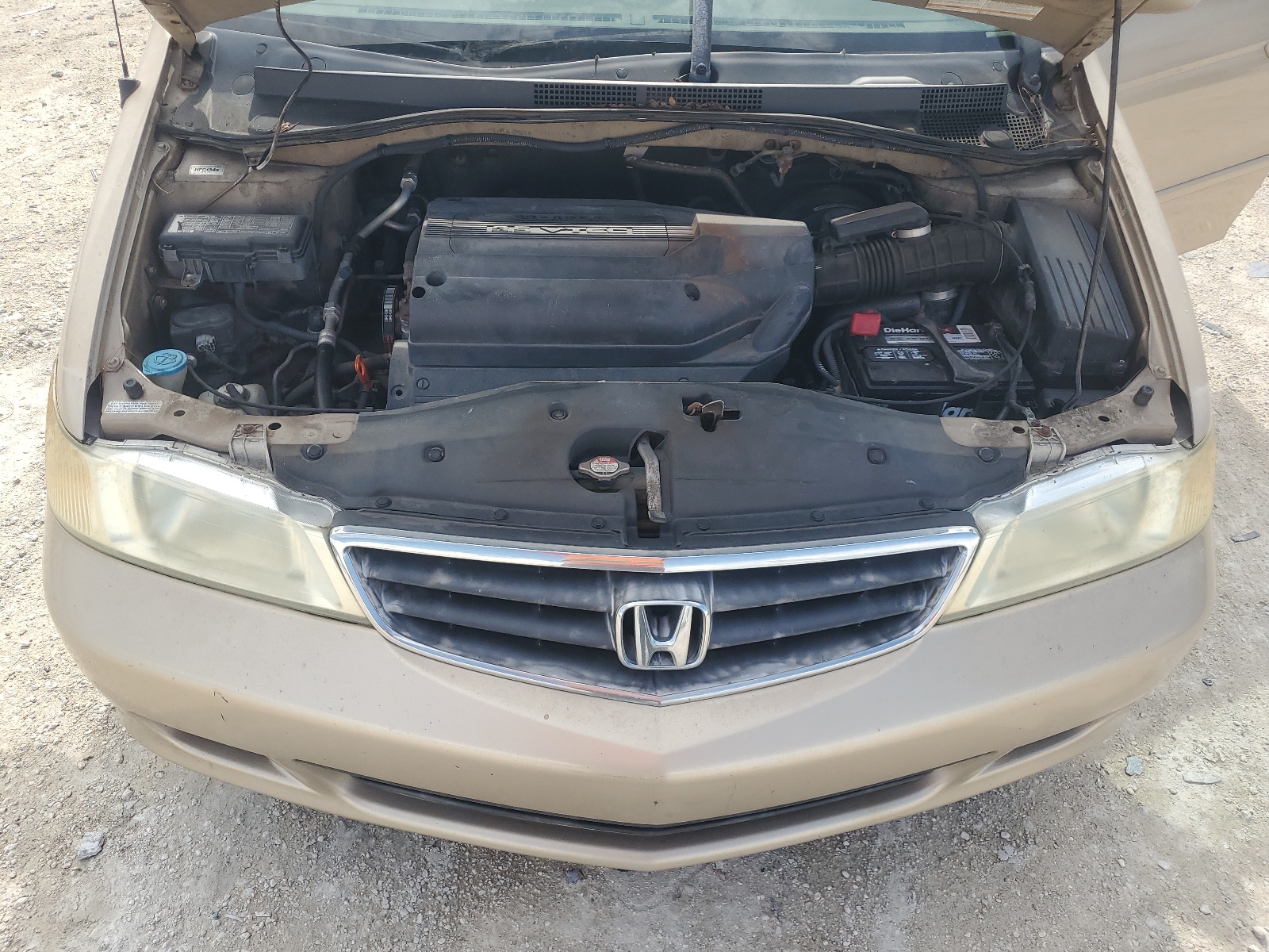 2HKRL18642H013644 2002 Honda Odyssey Ex