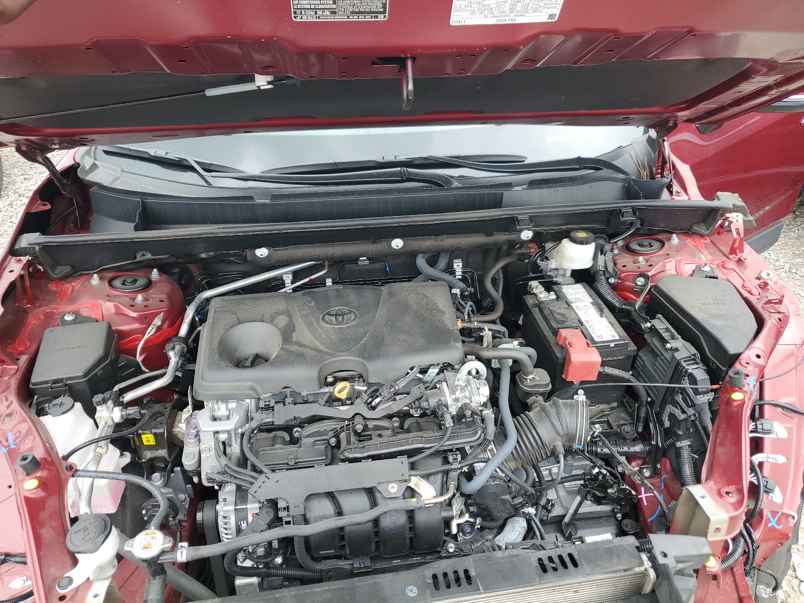 2T3Y1RFV8PW239406 2023 Toyota Rav4 Limited