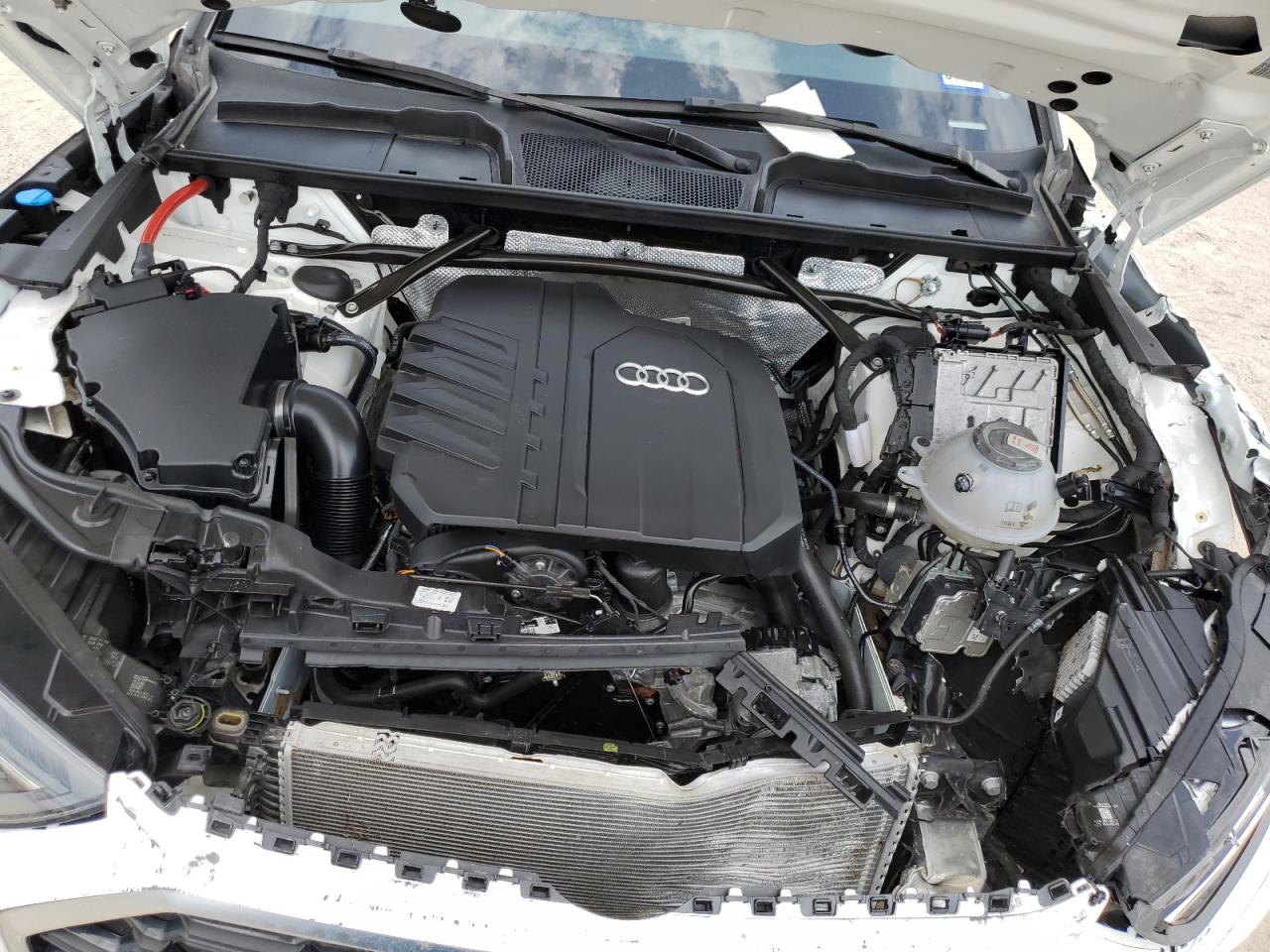 2023 Audi Q5 Premium Plus 45 VIN: WA1EAAFY8P2095339 Lot: 63137944