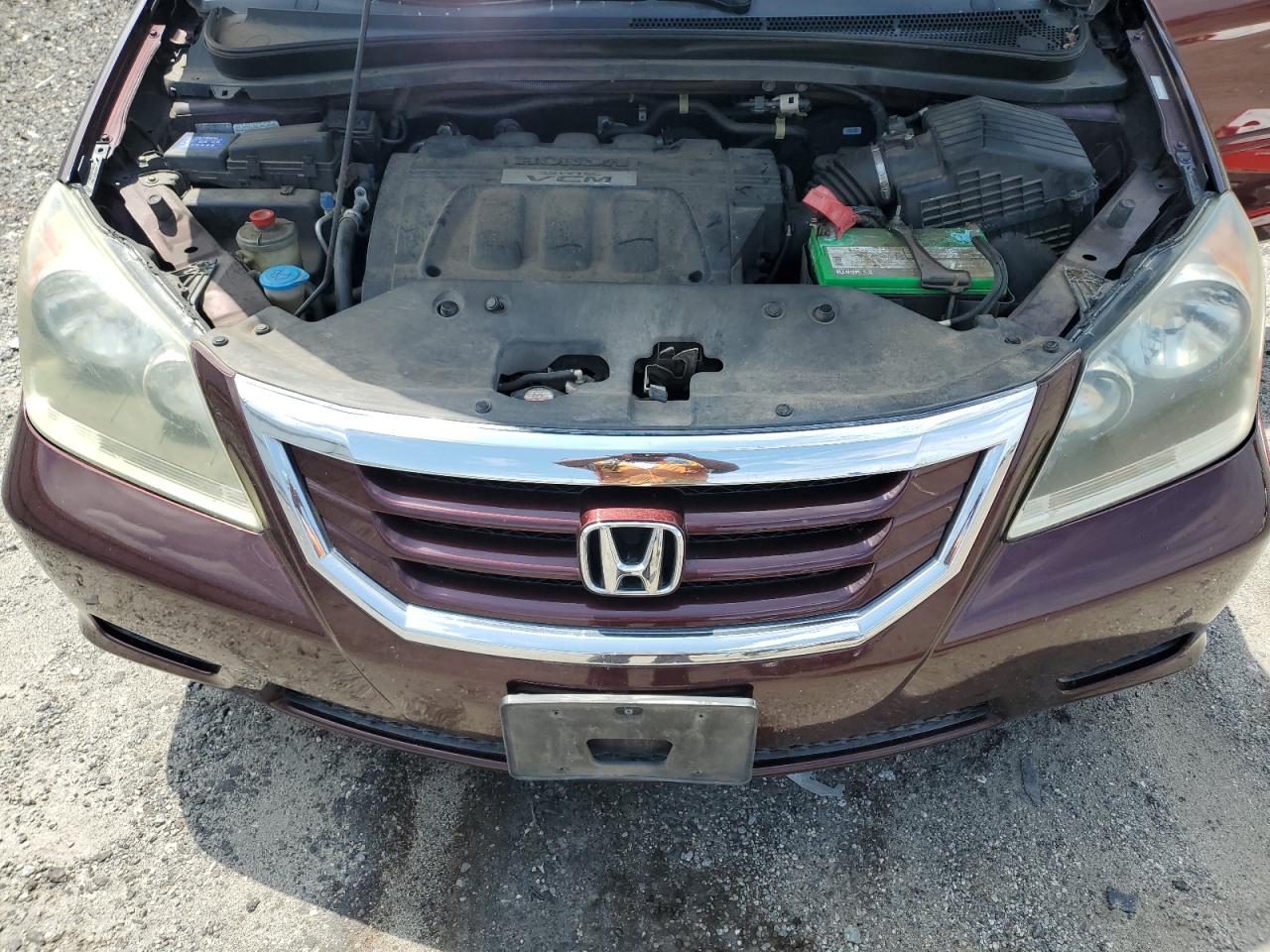 2009 Honda Odyssey Exl VIN: 5FNRL38799B034647 Lot: 62922764