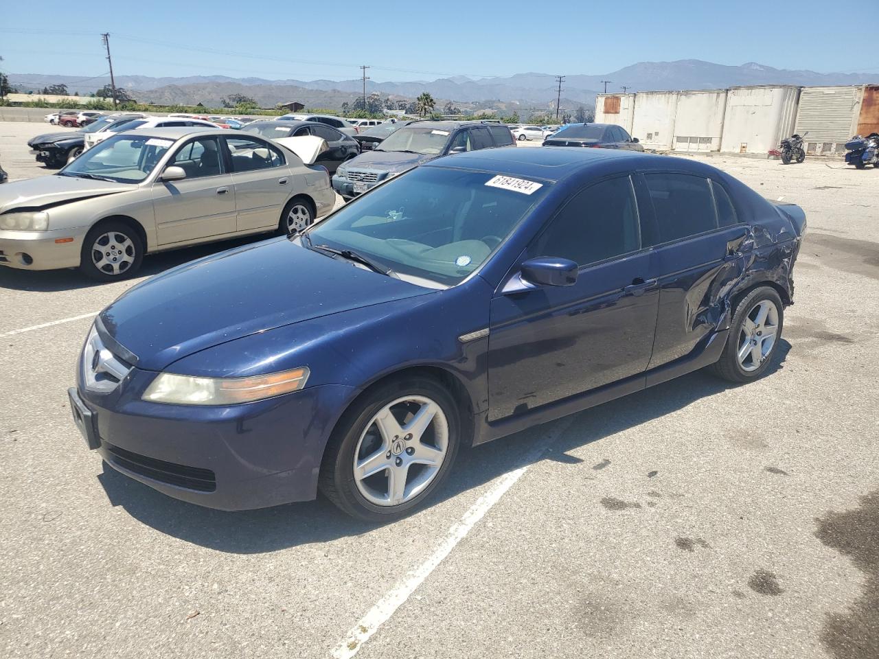 2006 Acura 3.2Tl VIN: 19UUA66276A043233 Lot: 61841924