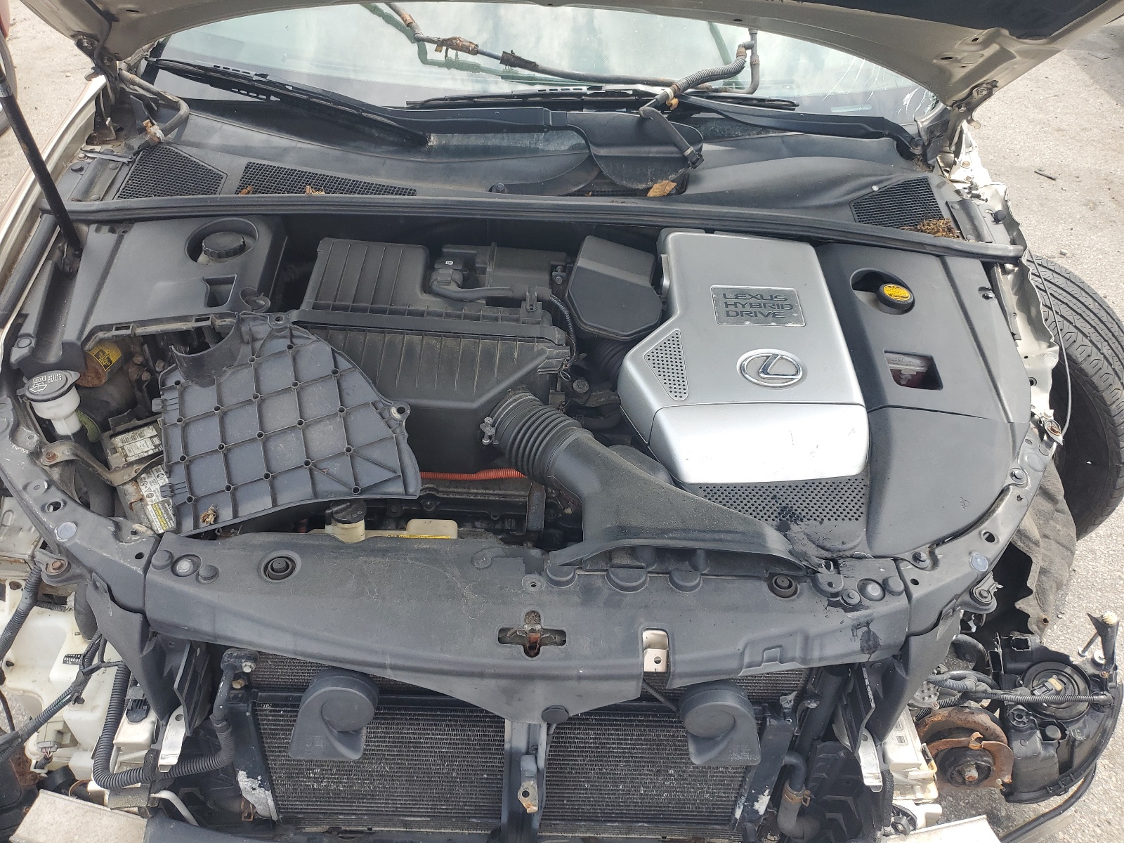 JTJHW31U772031200 2007 Lexus Rx 400H