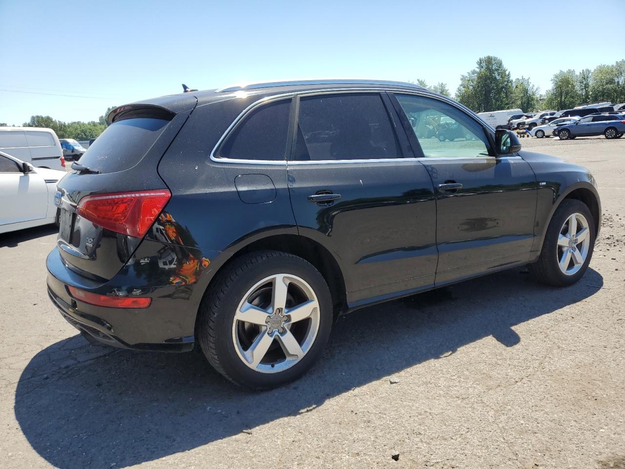 WA1DKAFP1BA016981 2011 Audi Q5 Premium Plus