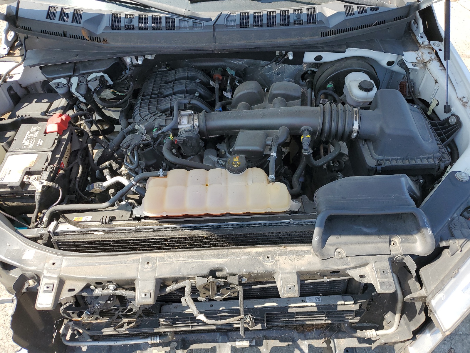 1FTMF1CB3KKC00719 2019 Ford F150