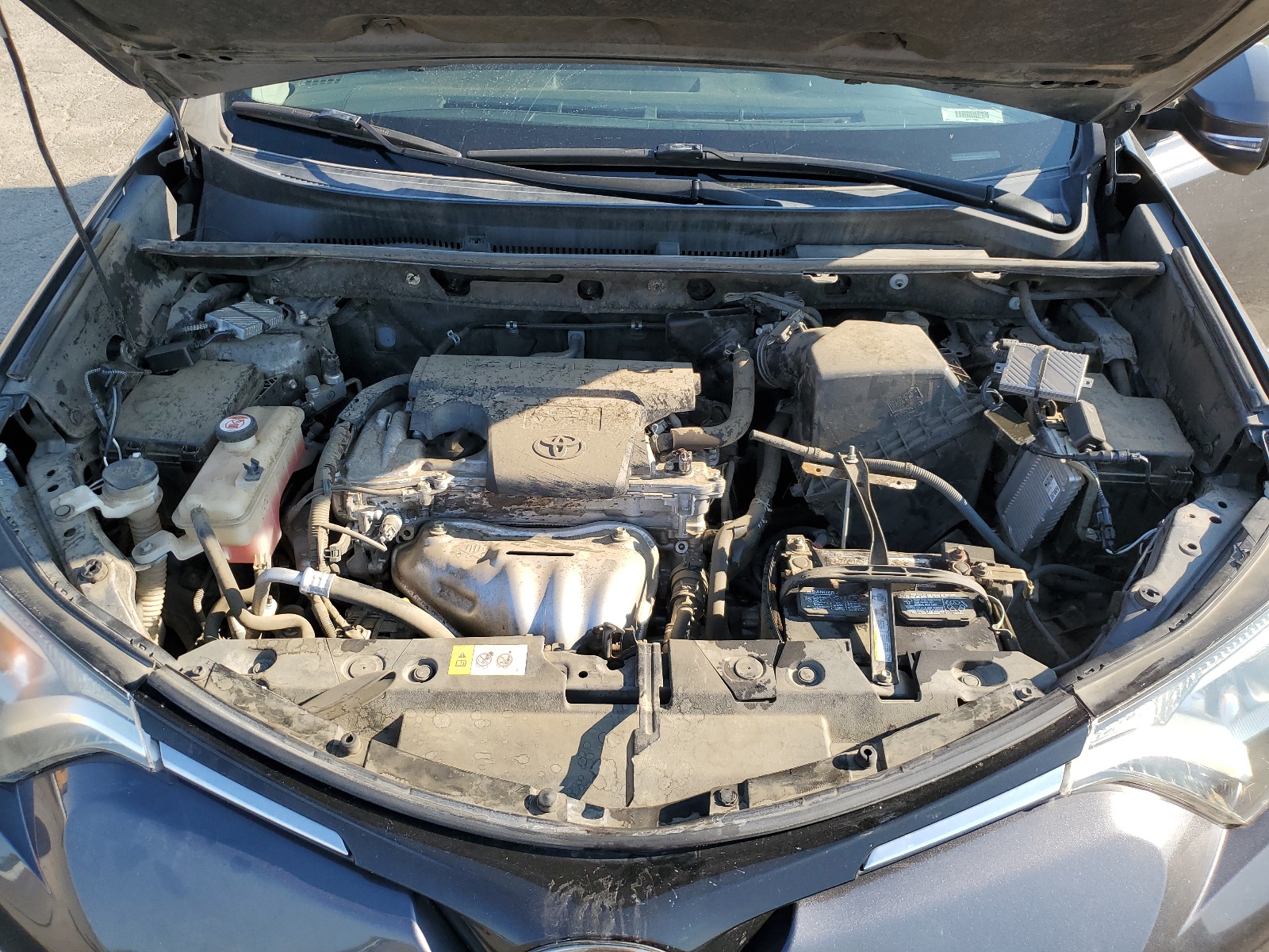 JTMWFREV2HJ123824 2017 Toyota Rav4 Xle