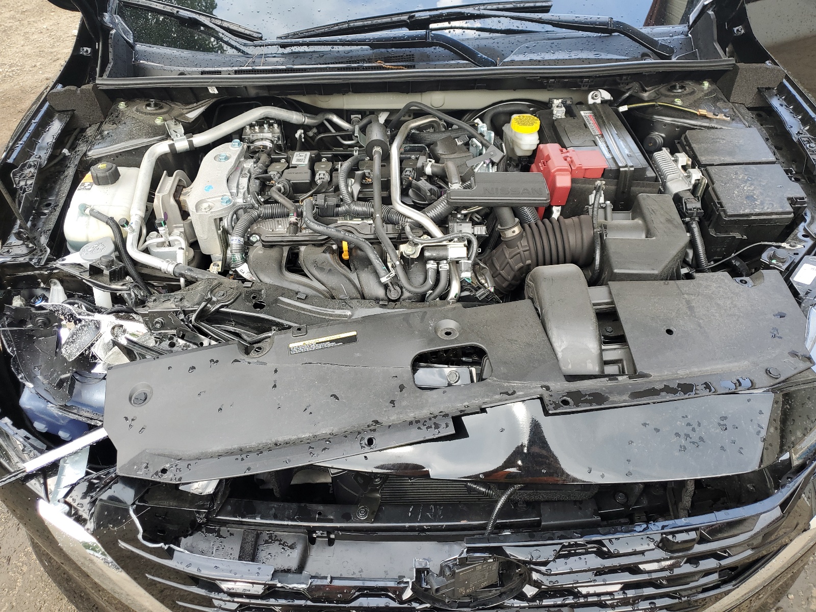 3N1AB8CV8RY231772 2024 Nissan Sentra Sv