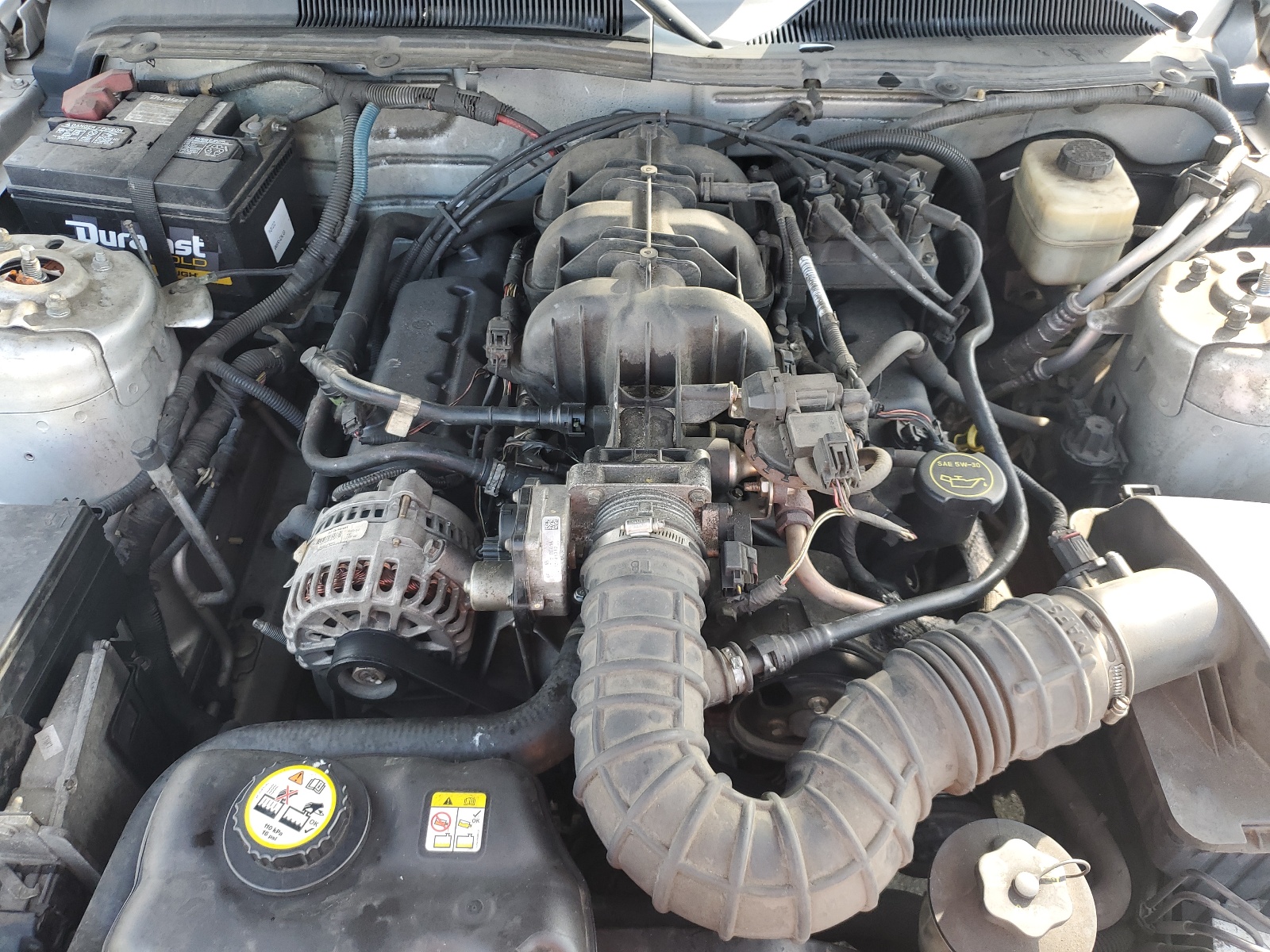 1ZVHT80N485185265 2008 Ford Mustang