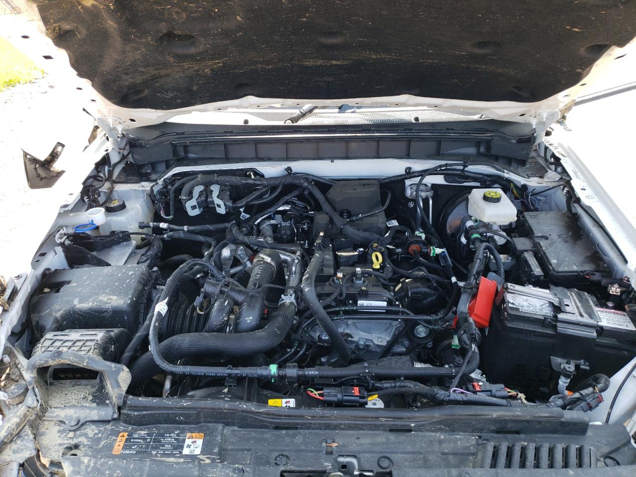 2023 Ford Bronco Base VIN: 1FMDE5BH3PLB95793 Lot: 64895674