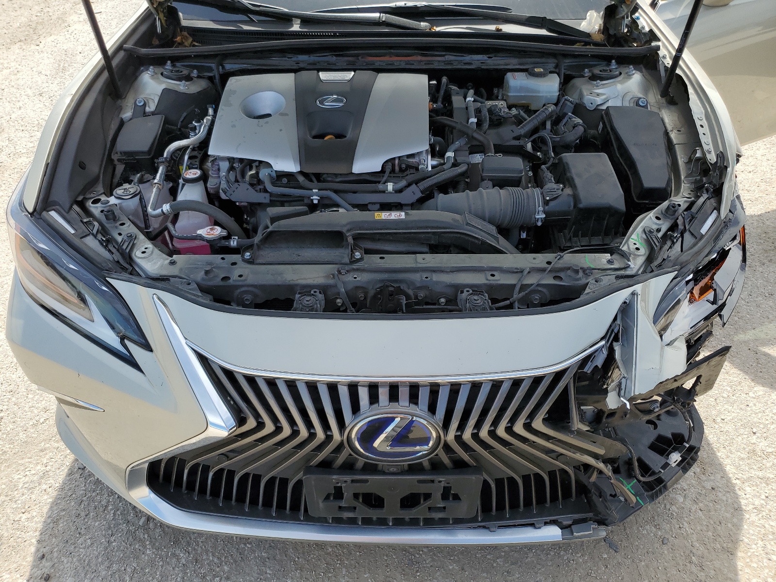 58AF21B18LU011958 2020 Lexus Es 300H Ultra Luxury