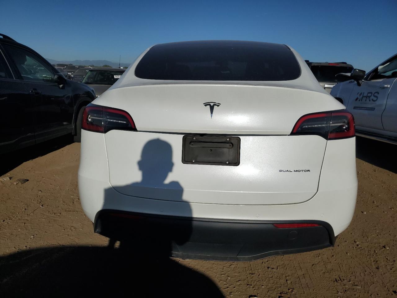 2022 Tesla Model Y VIN: 7SAYGDEE7NA013007 Lot: 64660454