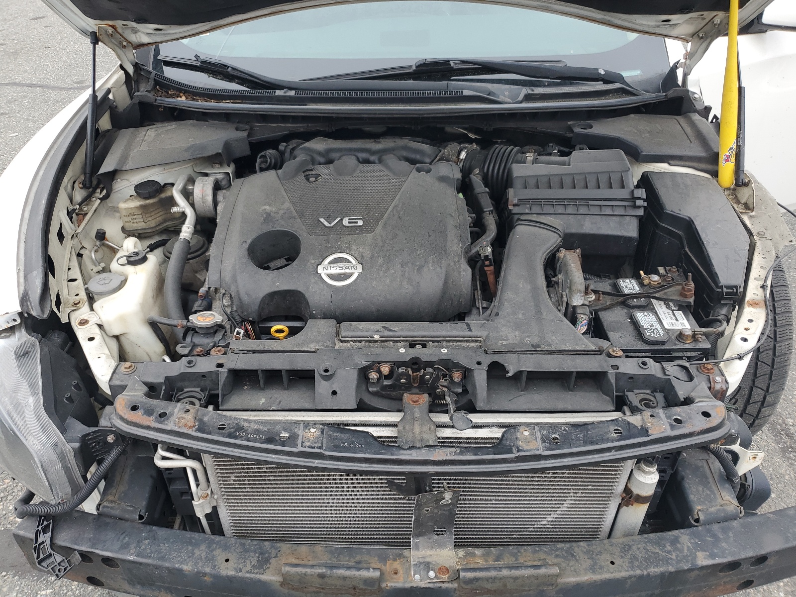 1N4AA5AP3AC823456 2010 Nissan Maxima S