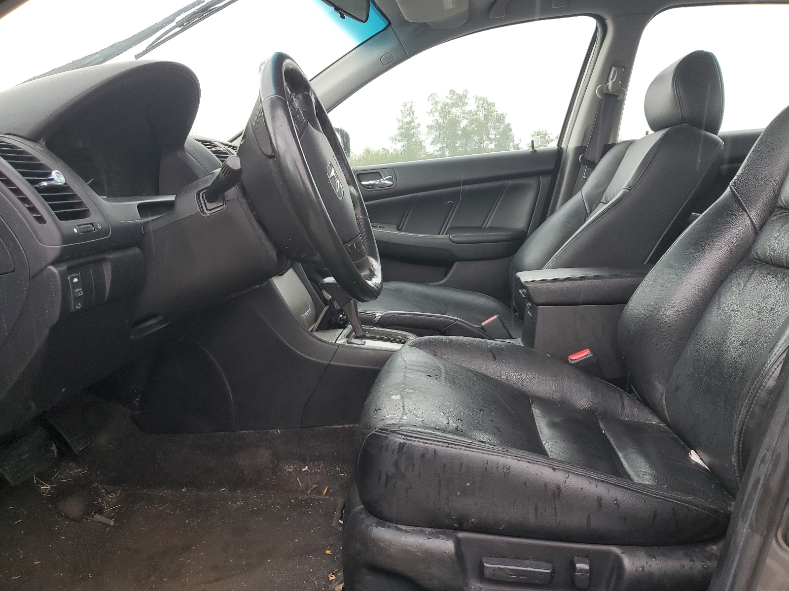 1HGCM568X6A036178 2006 Honda Accord Ex