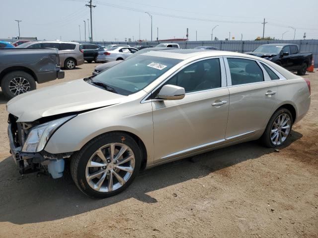  CADILLAC XTS 2013 Колір засмаги