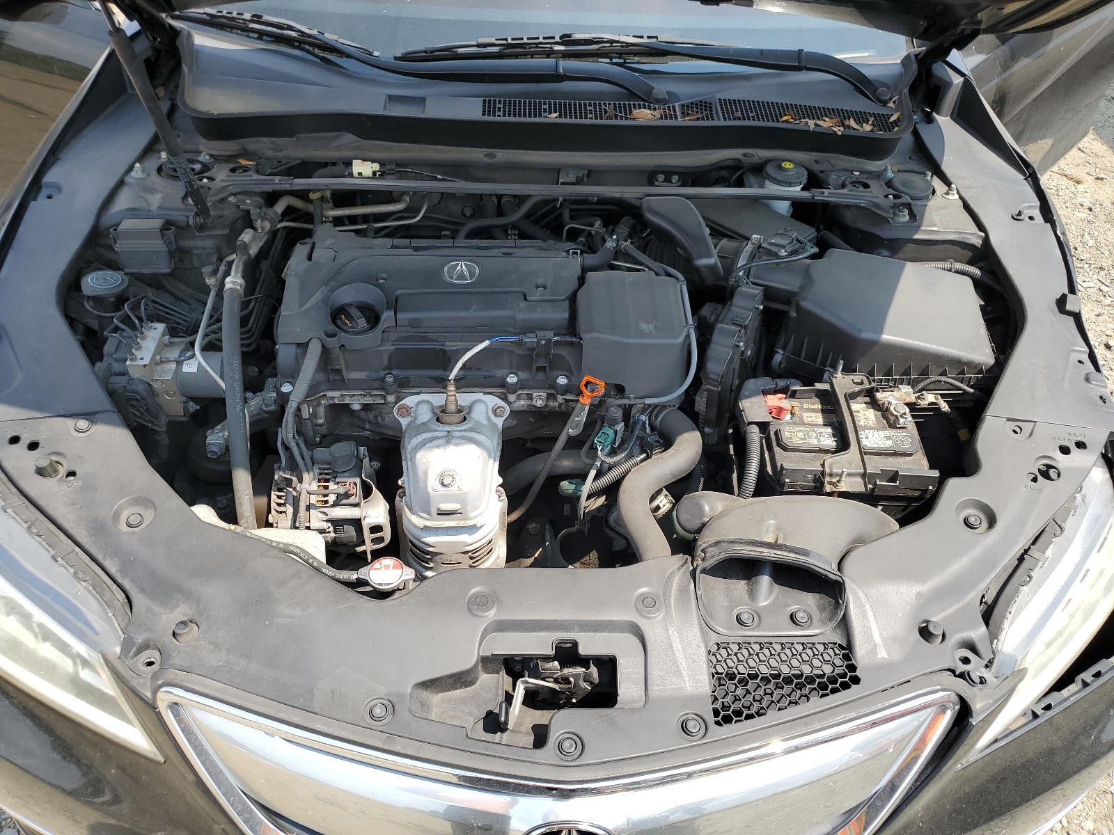 19UUB1F33FA008729 2015 Acura Tlx