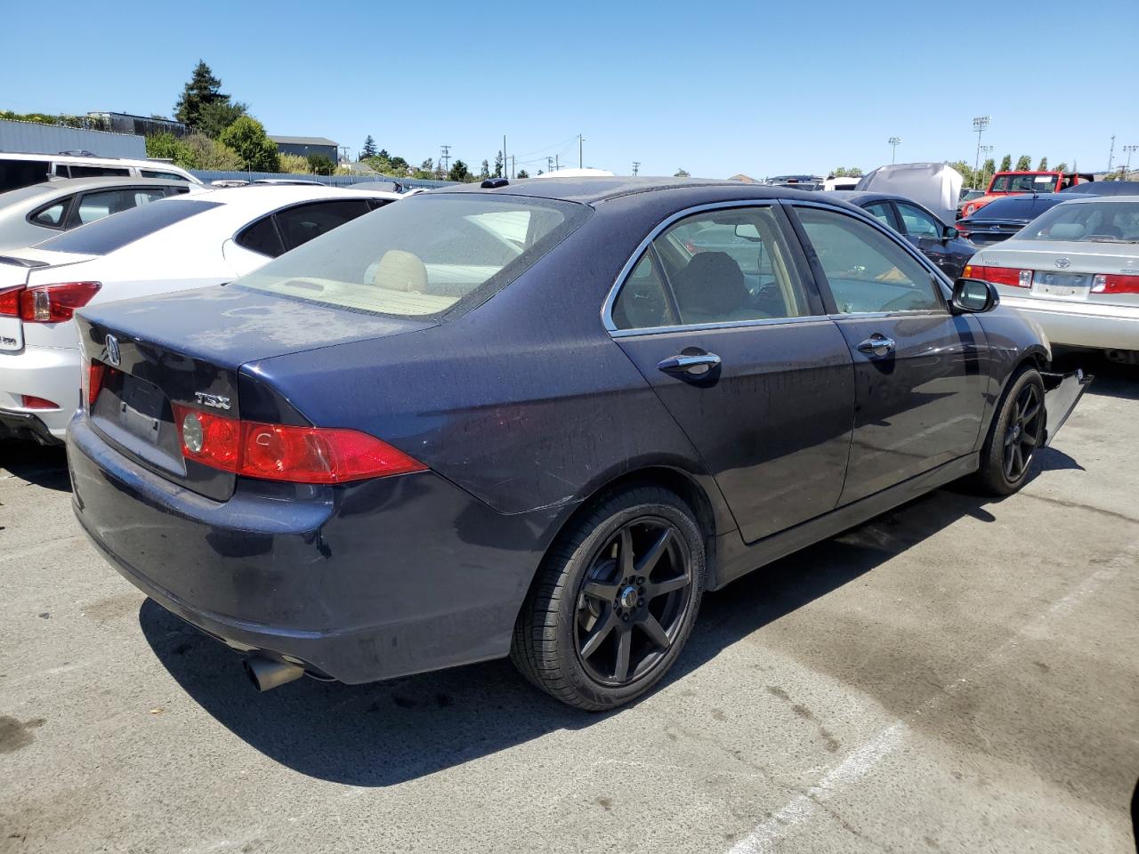 2006 Acura Tsx VIN: JH4CL96926C031240 Lot: 63528974