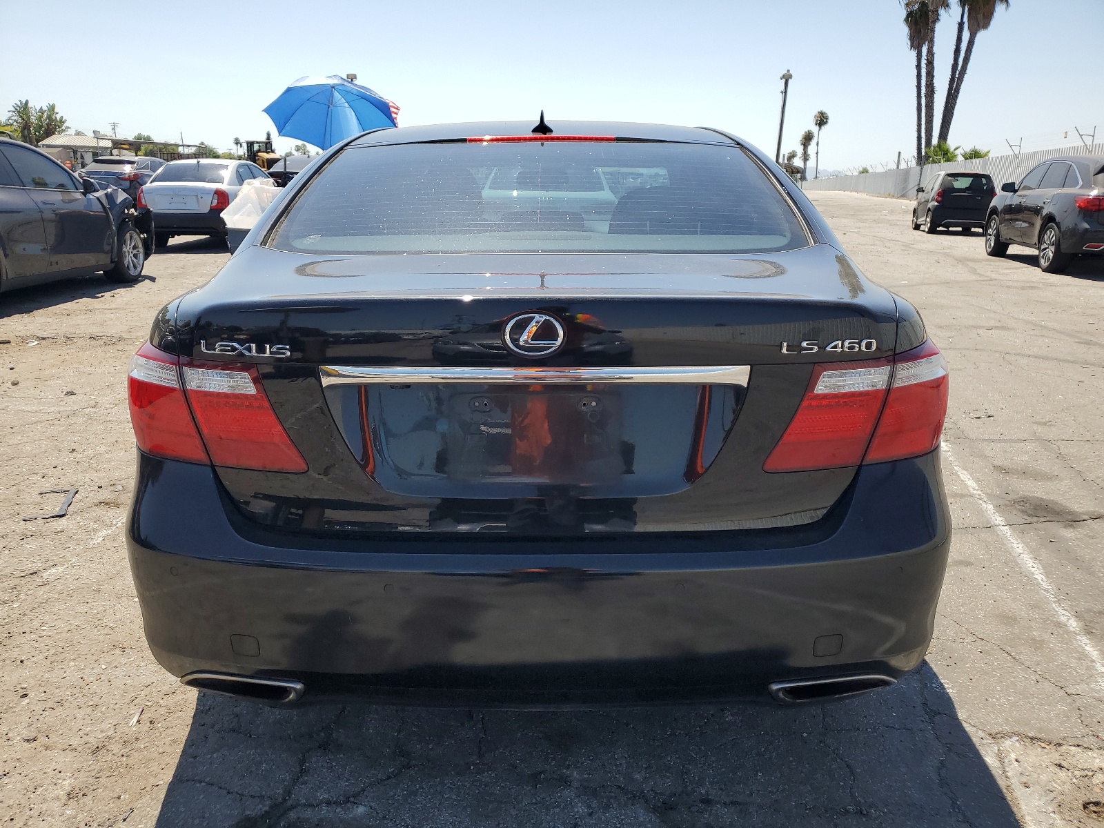 JTHBL46F295086137 2009 Lexus Ls 460