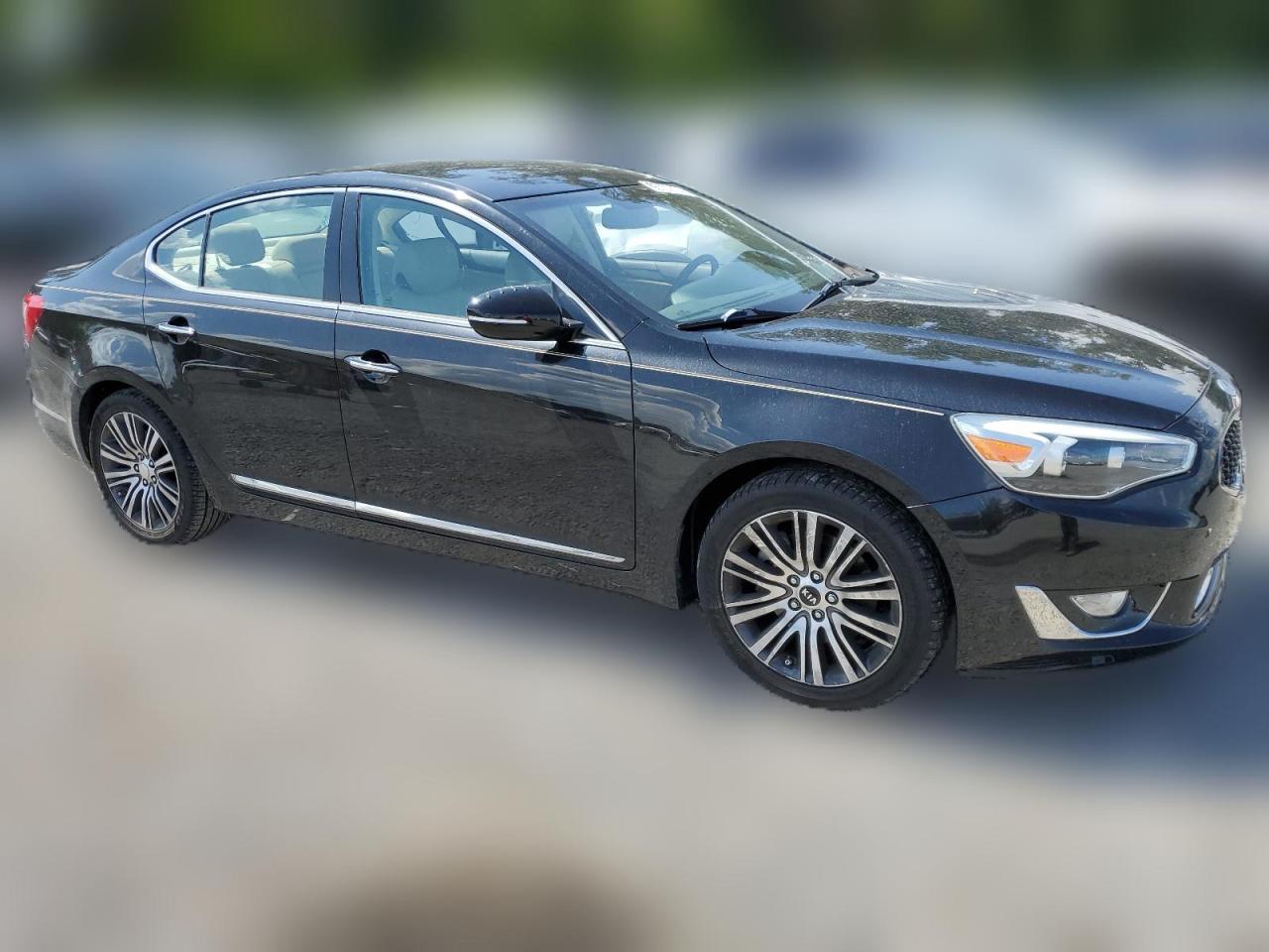 2014 Kia Cadenza Premium VIN: KNALN4D70E5134849 Lot: 65107474