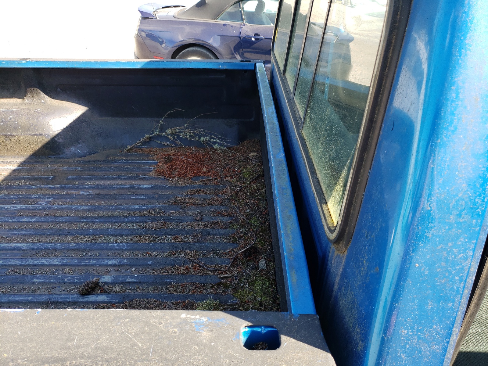 1FTDF15N1KKA08027 1989 Ford F150