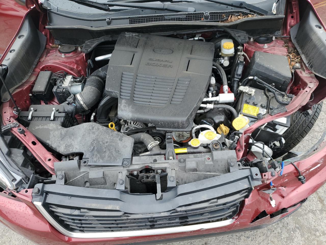 2019 Subaru Forester Premium VIN: JF2SKAEC5KH421584 Lot: 64320394