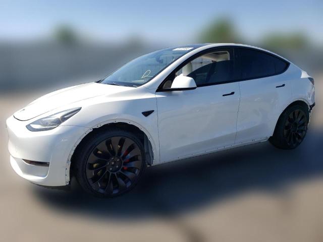  TESLA MODEL Y 2023 Белый