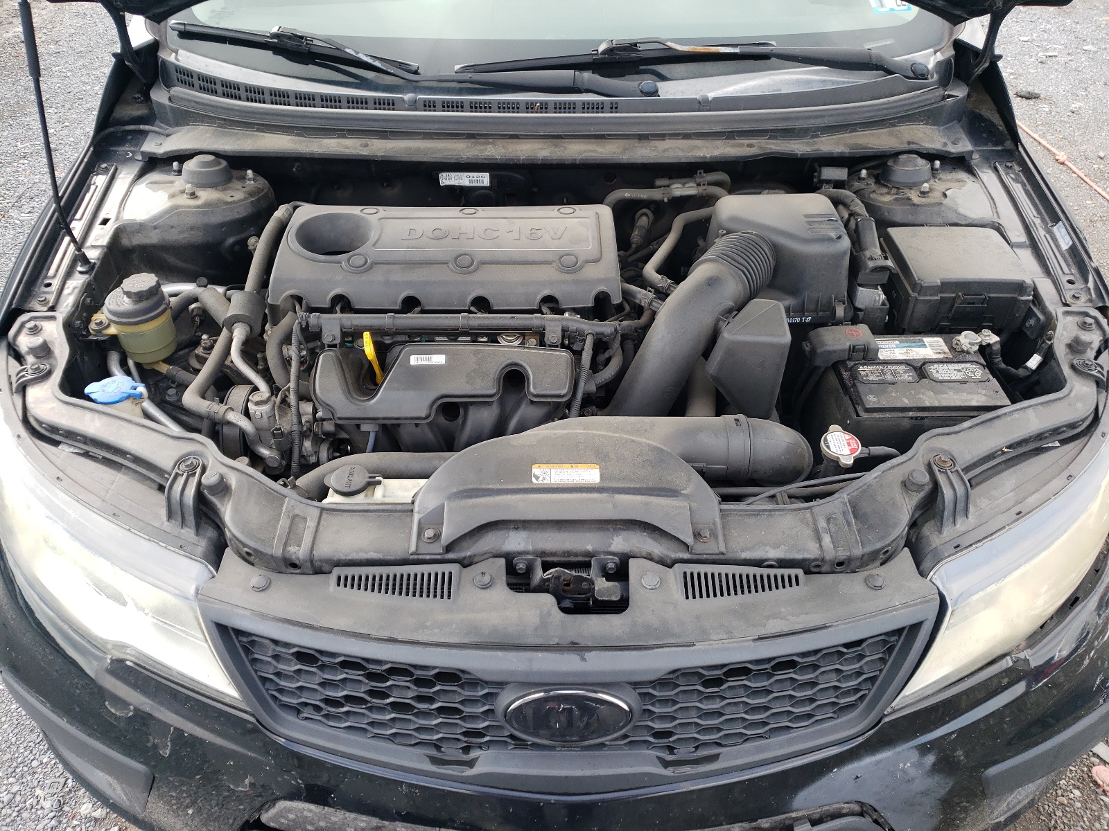 KNAFU6A25C5545925 2012 Kia Forte Ex