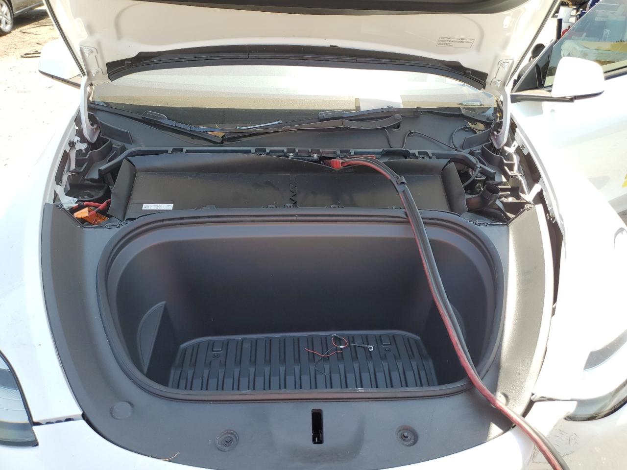 2023 Tesla Model Y VIN: 7SAYGDEE2PA064093 Lot: 64212844