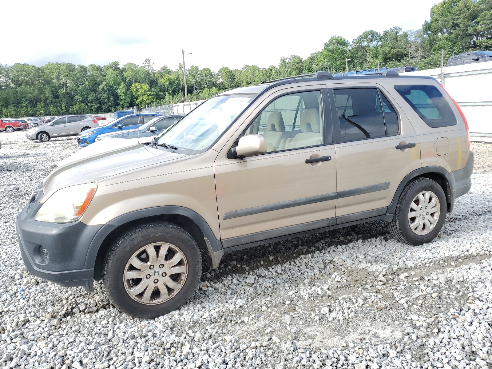 SHSRD78855U313464 2005 Honda Cr-V Ex