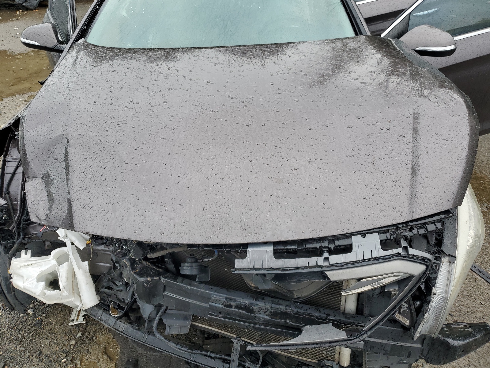 5NPE34AF7GH432301 2016 Hyundai Sonata Sport