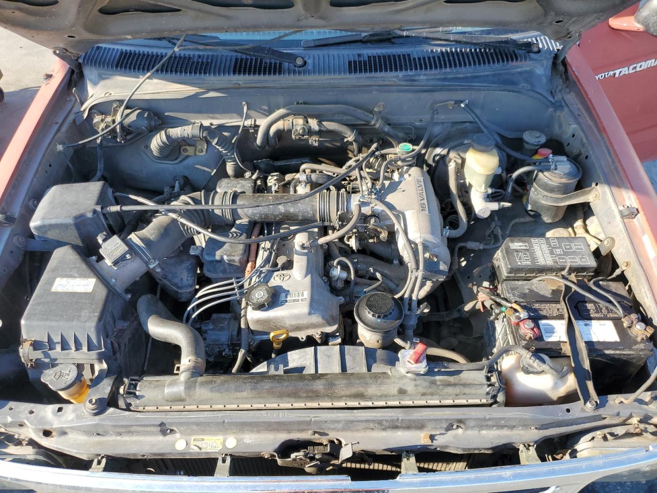 1995 Toyota Tacoma VIN: 4TAUN41B4SZ033538 Lot: 62318574