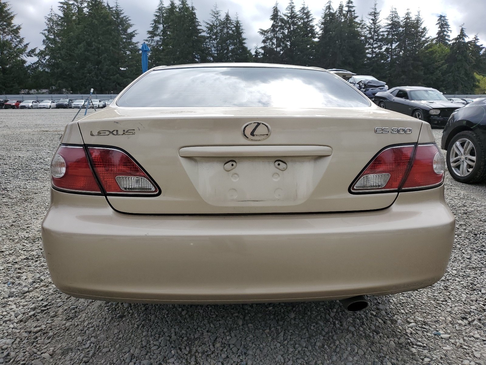 JTHBF30G630127277 2003 Lexus Es 300