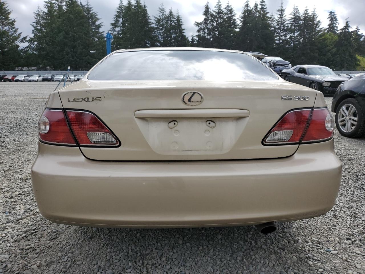 2003 Lexus Es 300 VIN: JTHBF30G630127277 Lot: 65429064