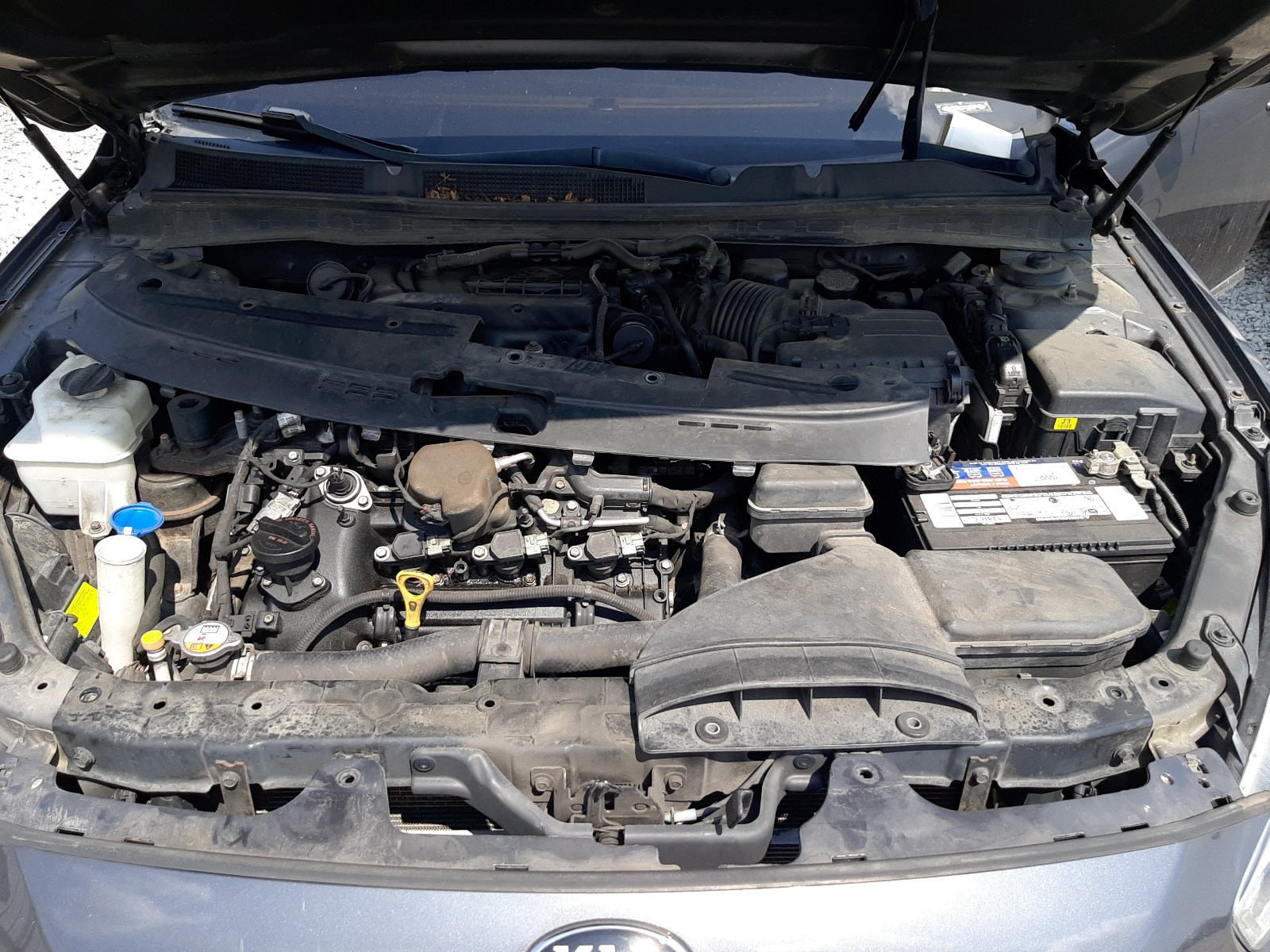 KNALN4D70F5177735 2015 Kia Cadenza Premium