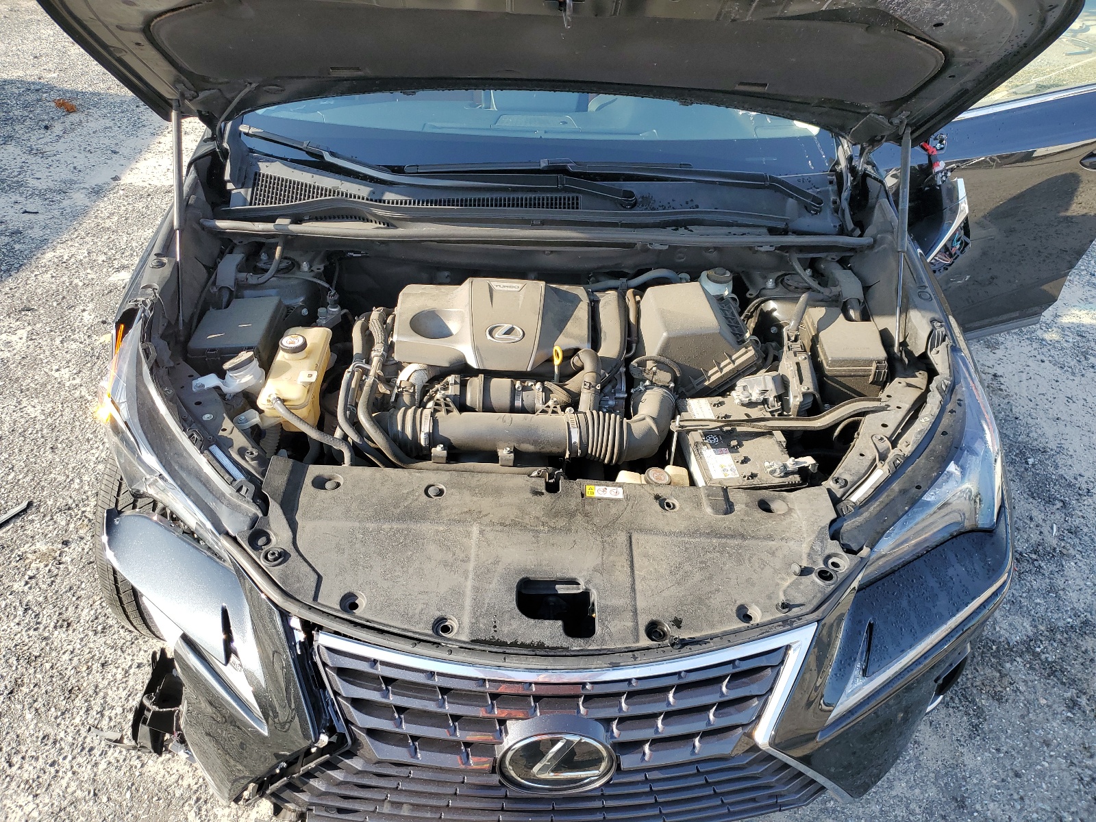 JTJBARBZ7K2196576 2019 Lexus Nx 300 Base