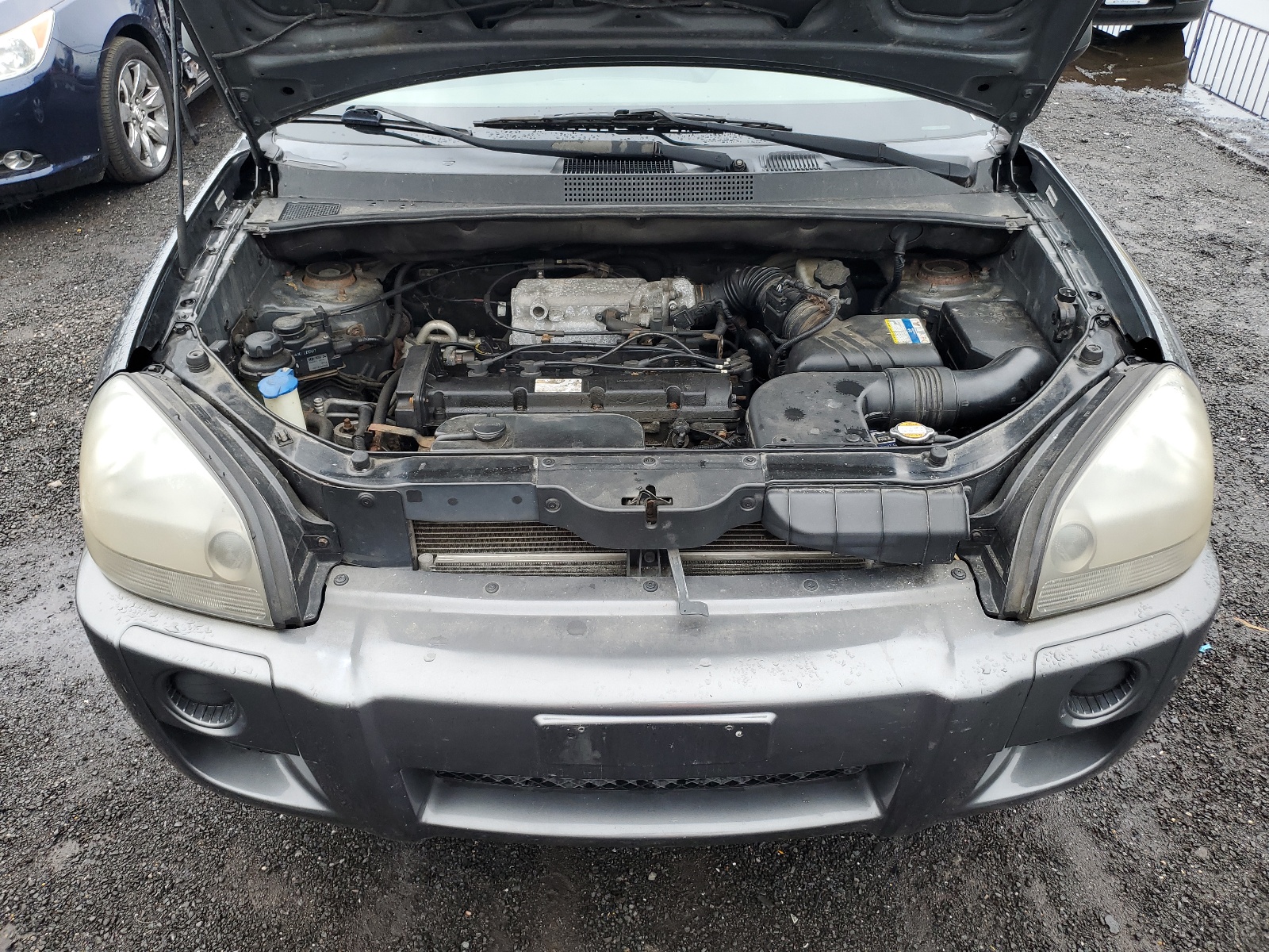 KM8JM12B38U911243 2008 Hyundai Tucson Gls