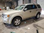 2014 Ford Escape Xlt for Sale in West Mifflin, PA - Minor Dent/Scratches