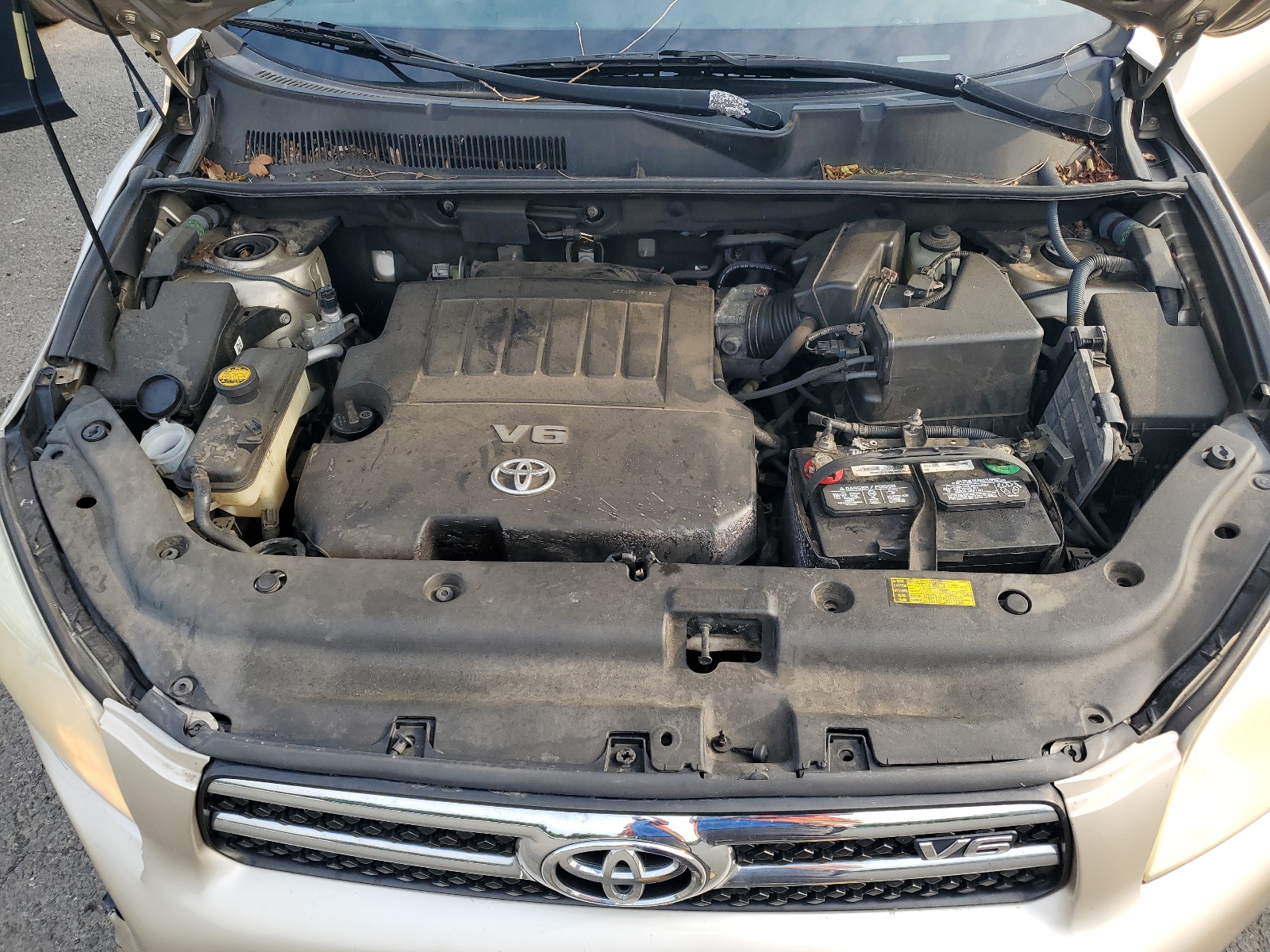 JTMZK31V785018197 2008 Toyota Rav4 Limited JTMZK31V785018197 2008 Toyota Rav4 Limited