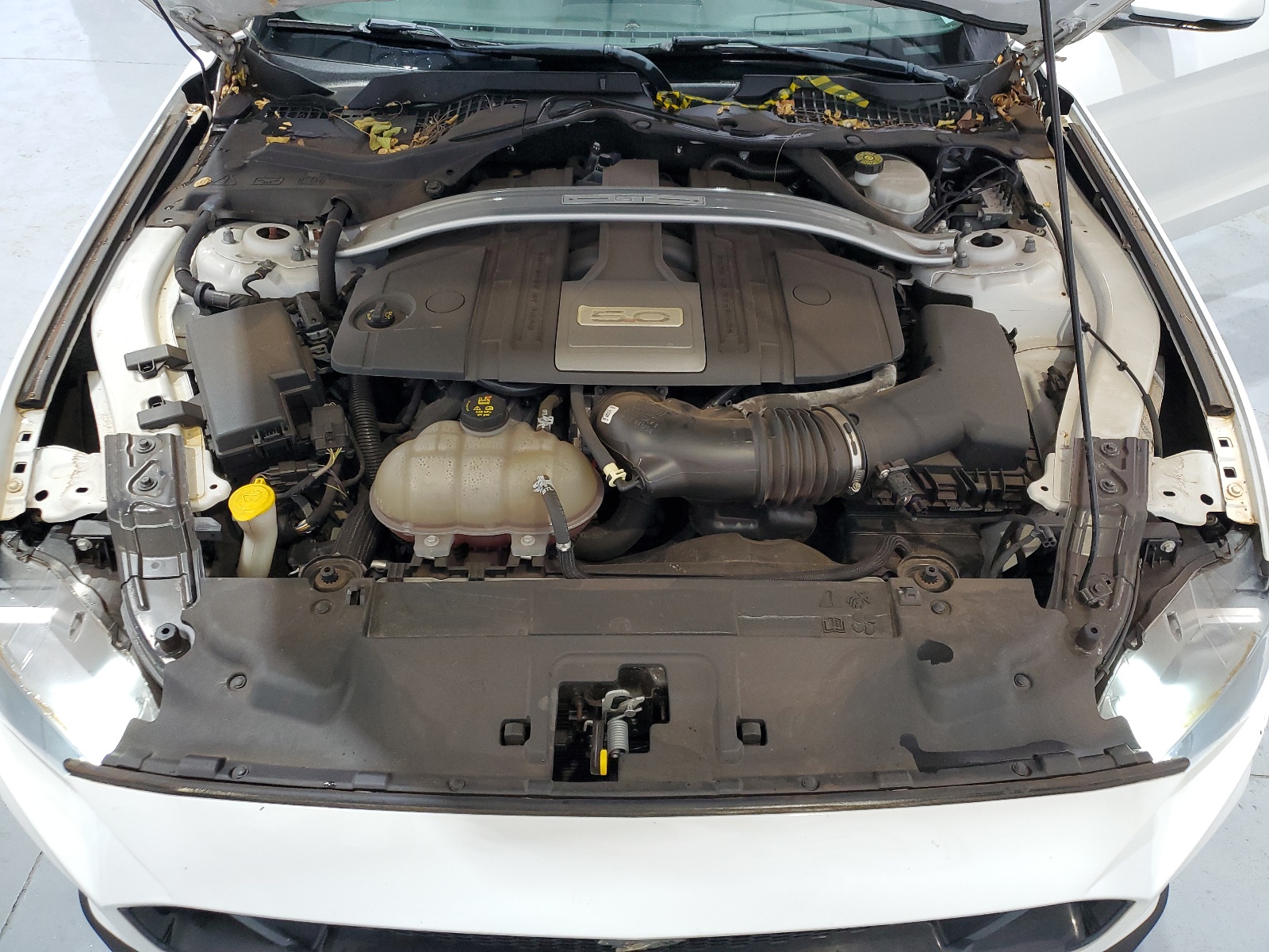 1FATP8FF6K5126037 2019 Ford Mustang Gt