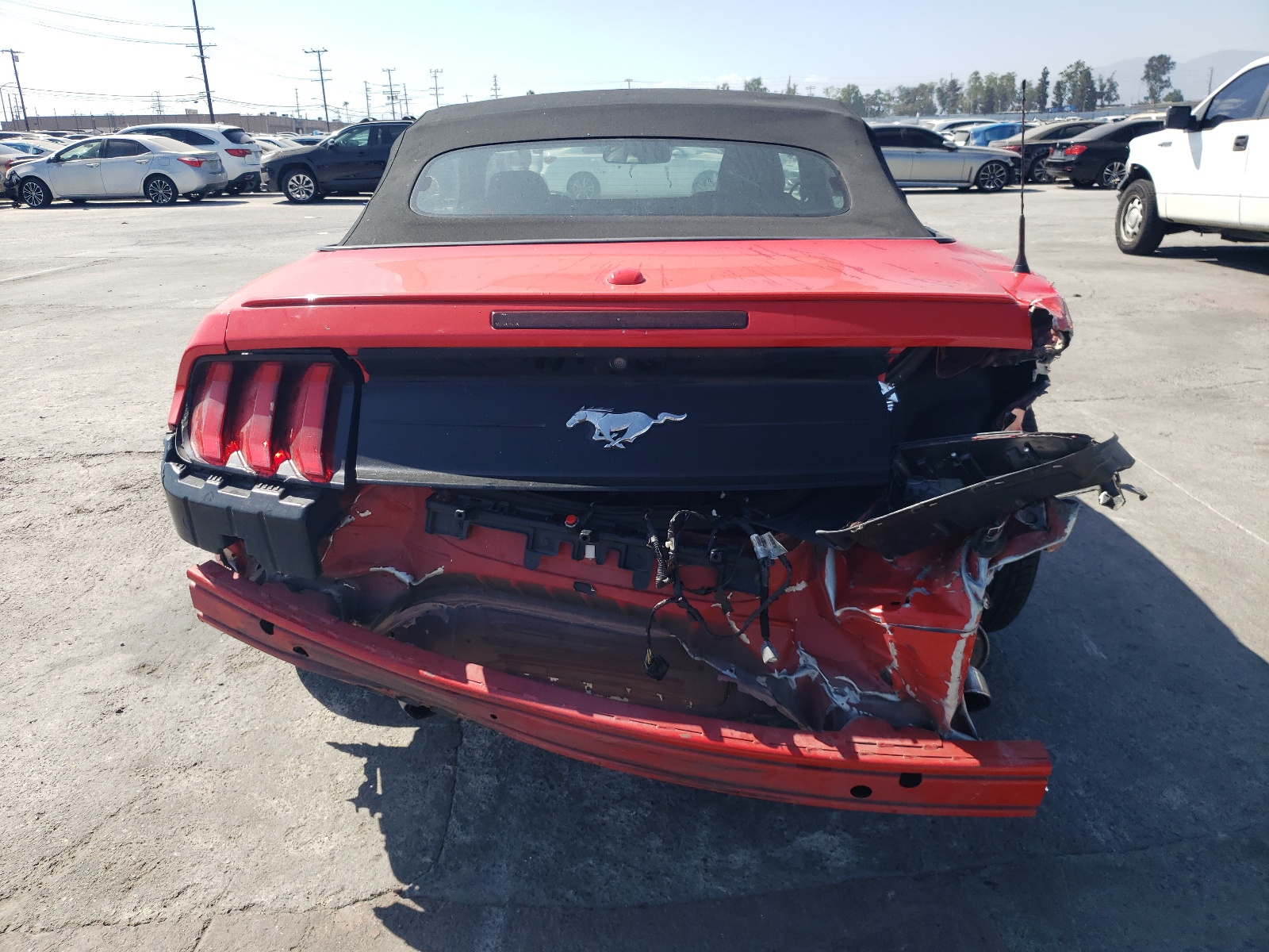 2019 Ford Mustang vin: 1FATP8UH7K5171024