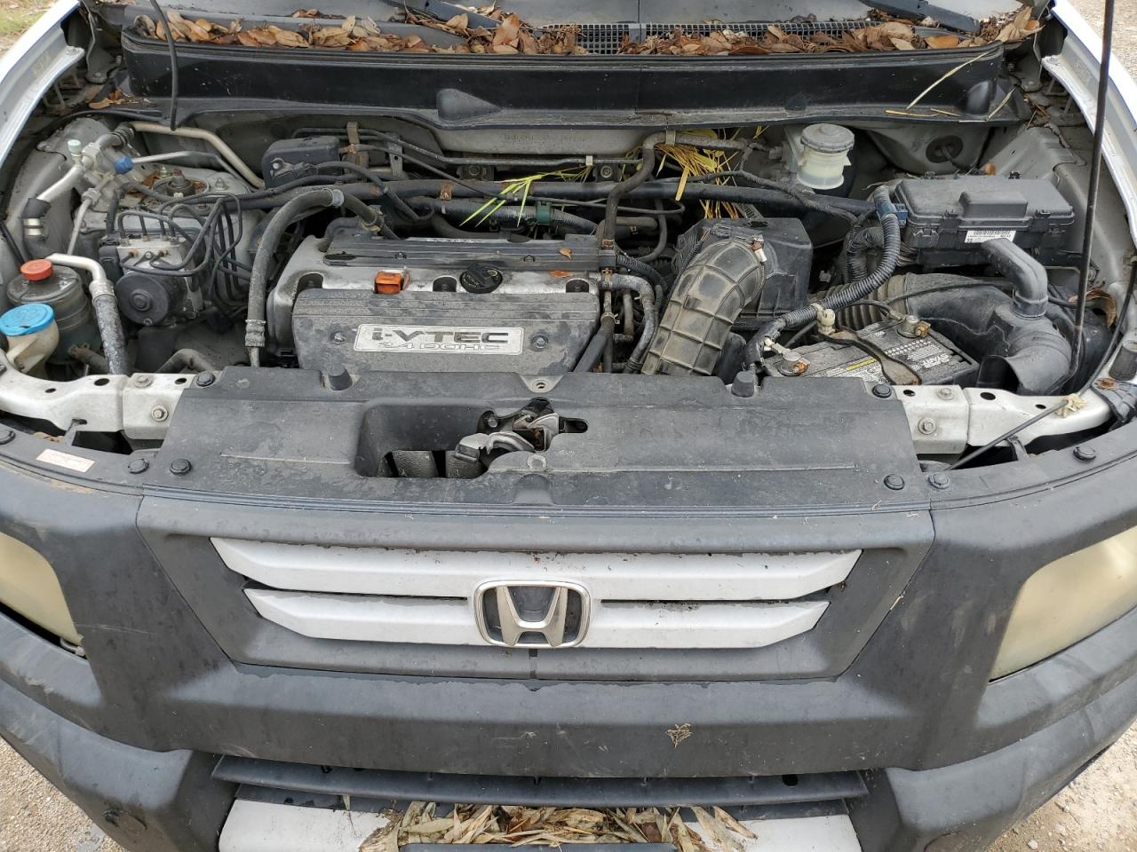 2008 Honda Element Lx VIN: 5J6YH18348L009739 Lot: 64413654