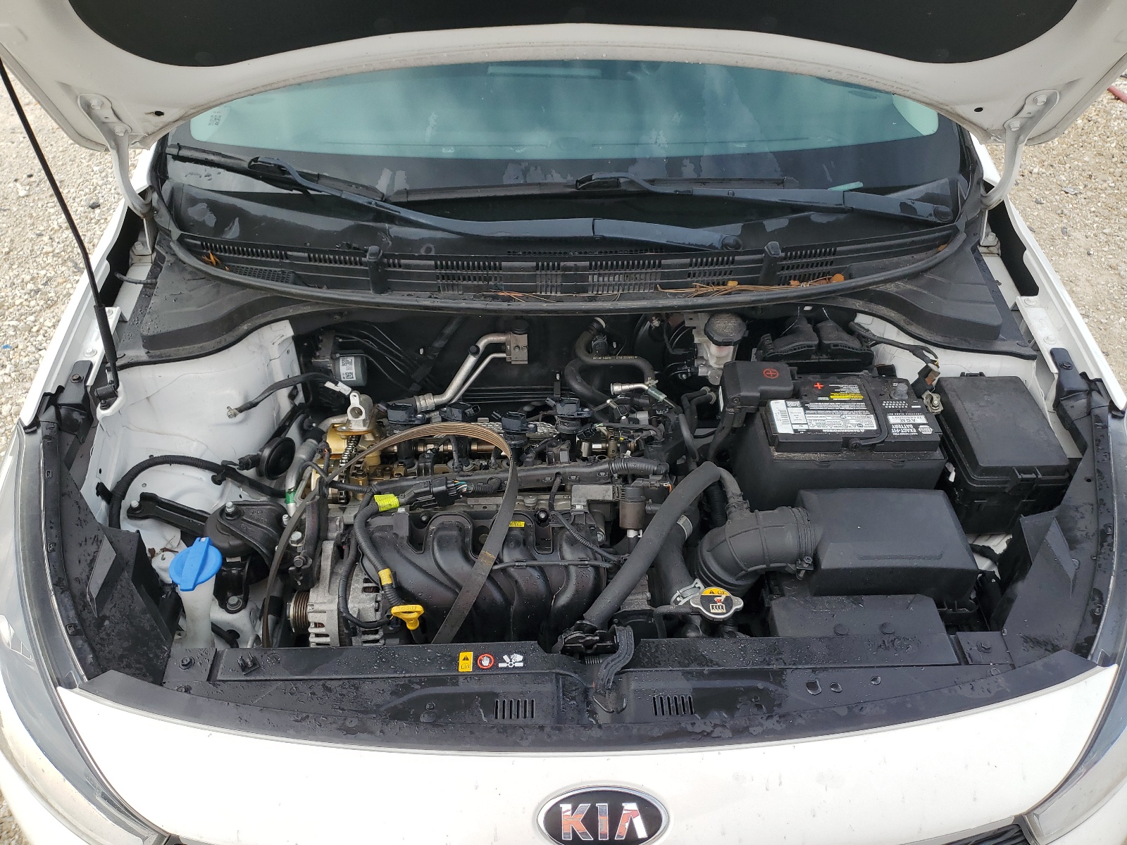 3KPA24AB8KE174236 2019 Kia Rio S