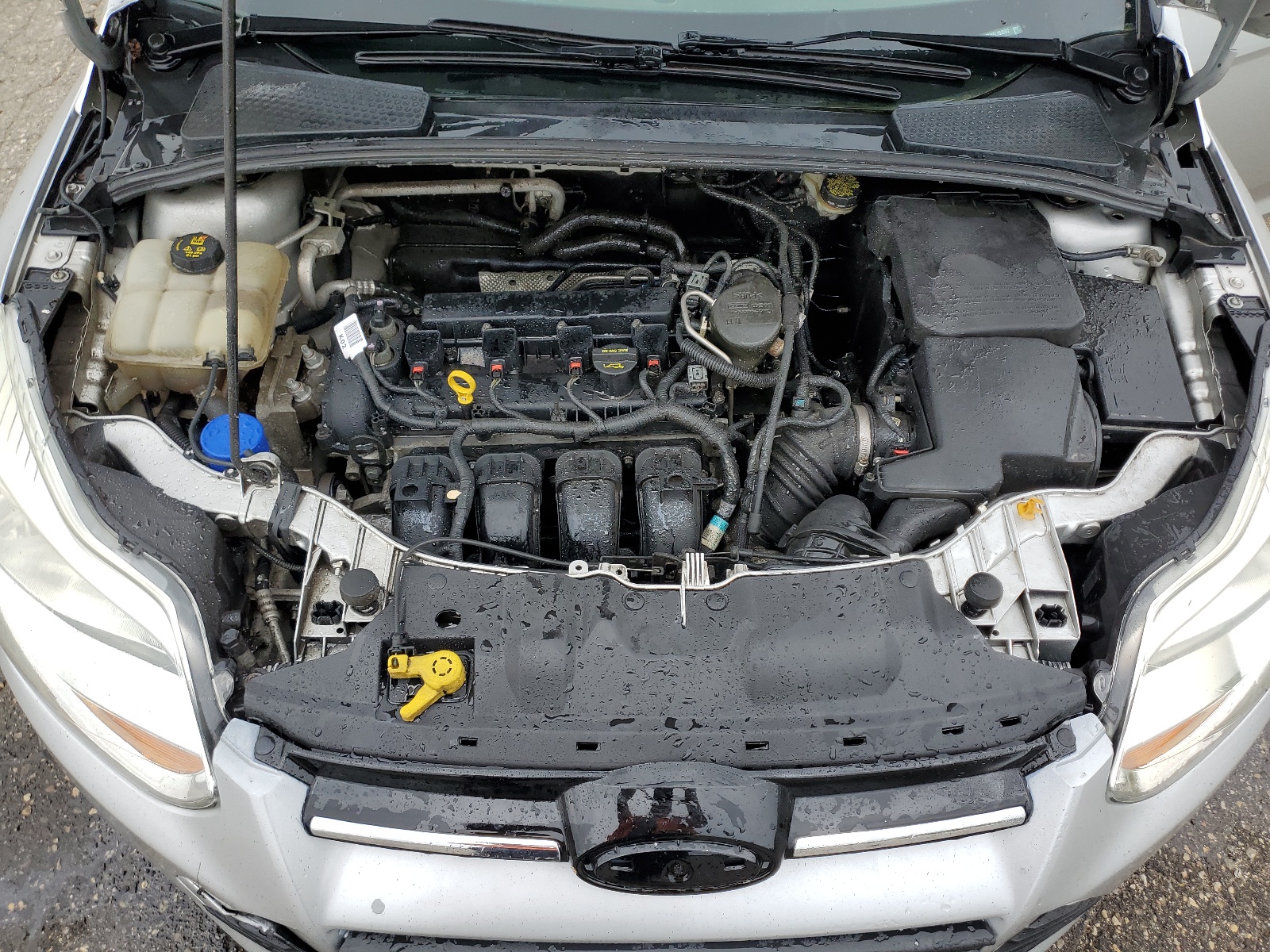 1FADP3F25EL152357 2014 Ford Focus Se