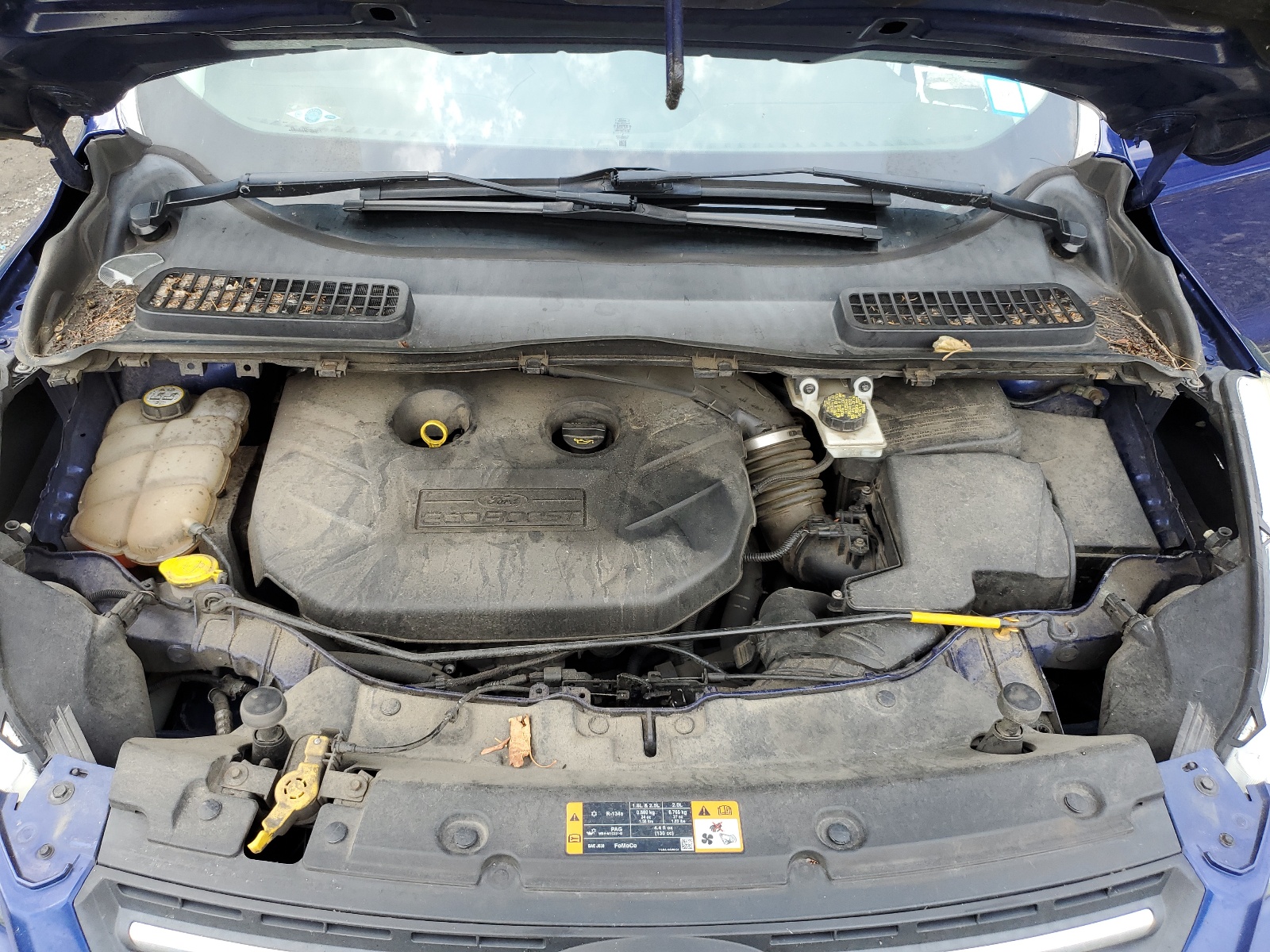 1FMCU9G94DUD30521 2013 Ford Escape Se