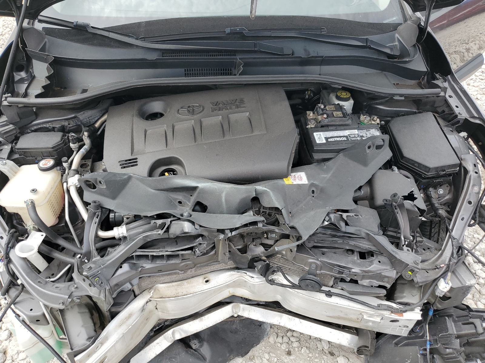 NMTKHMBX1LR116665 2020 Toyota C-Hr Xle