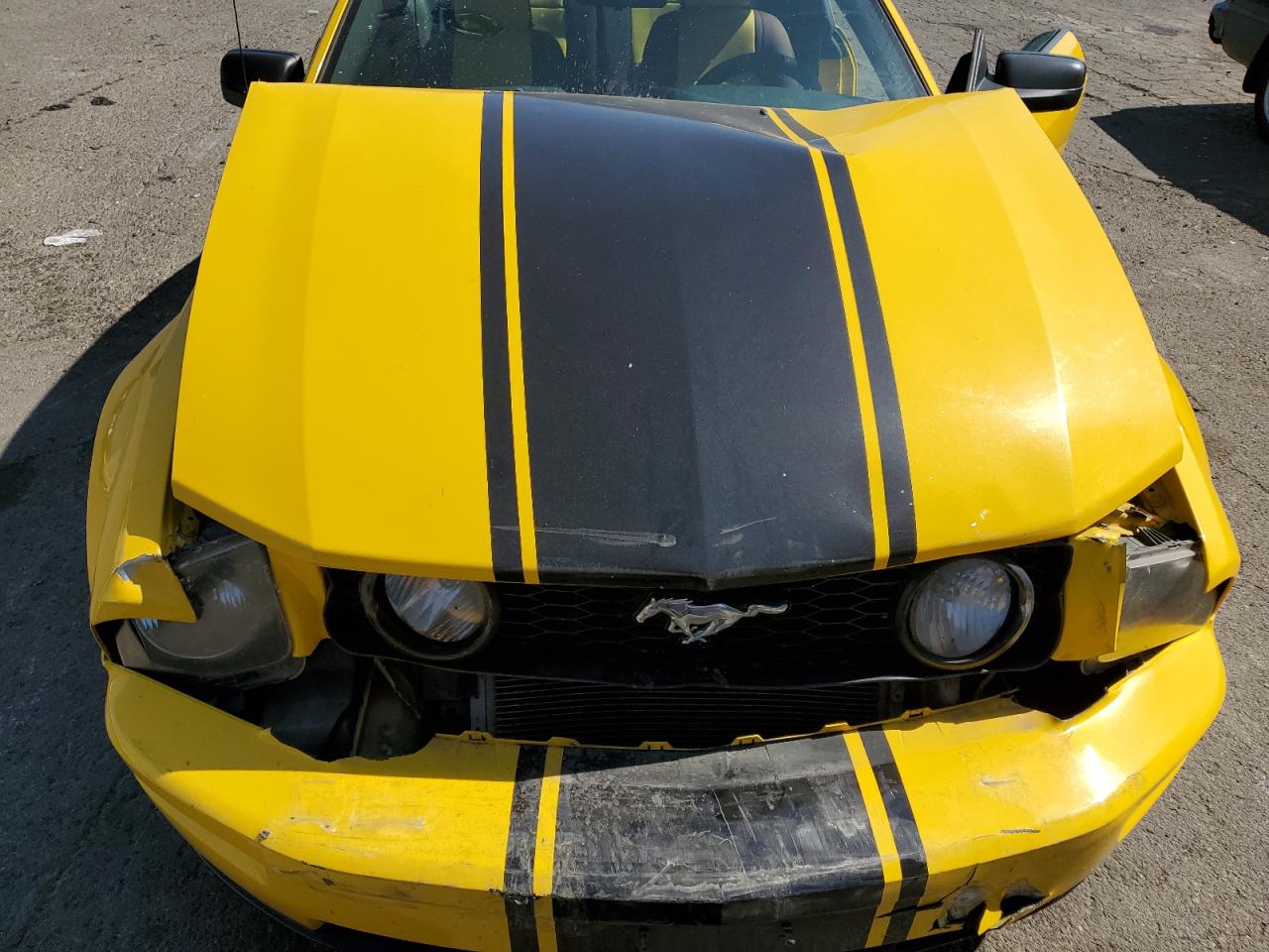 2006 Ford Mustang Gt VIN: 1ZVHT82H165101150 Lot: 62867714