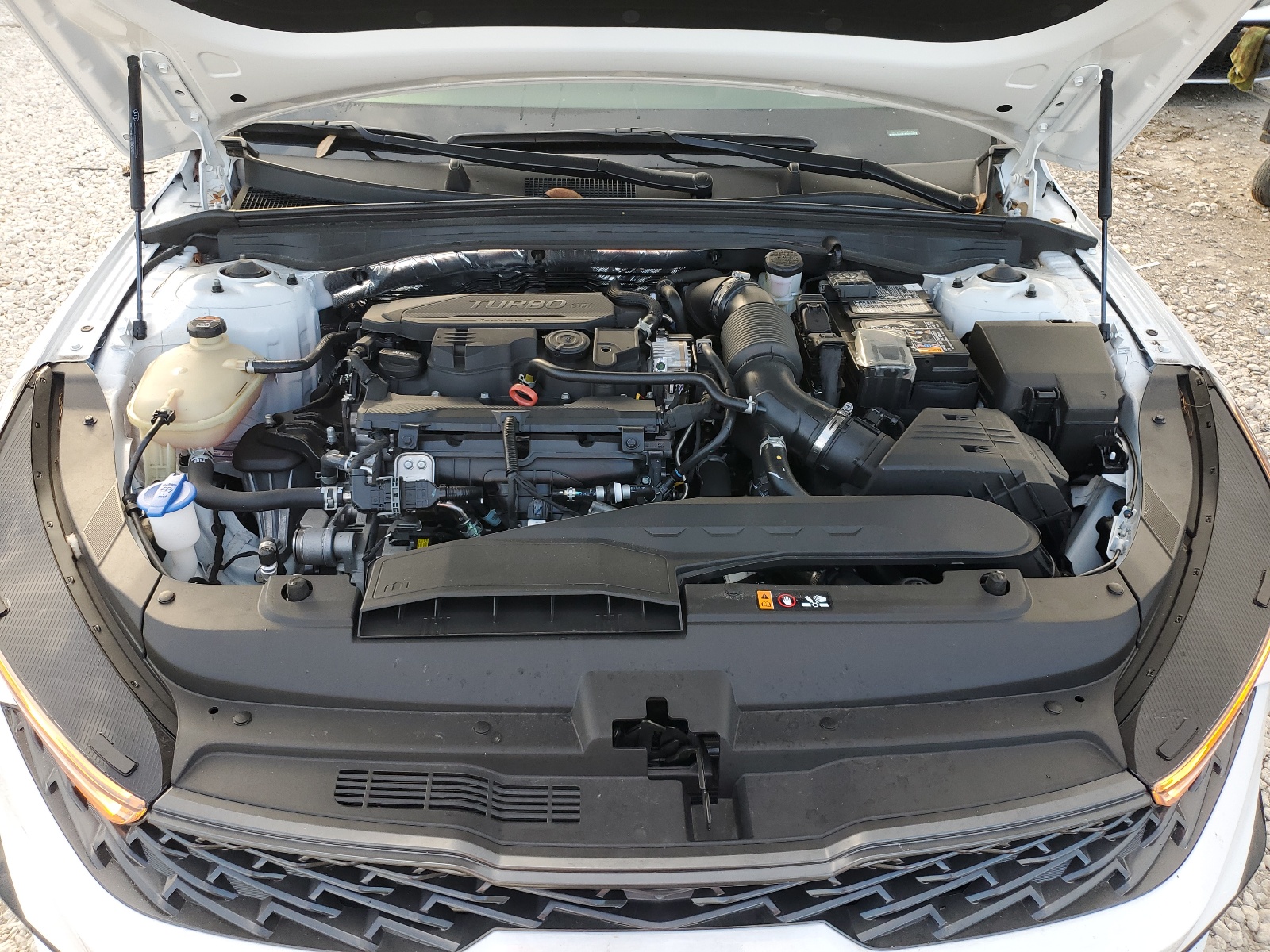 5XXG64J2XRG244660 2024 Kia K5 Gt Line